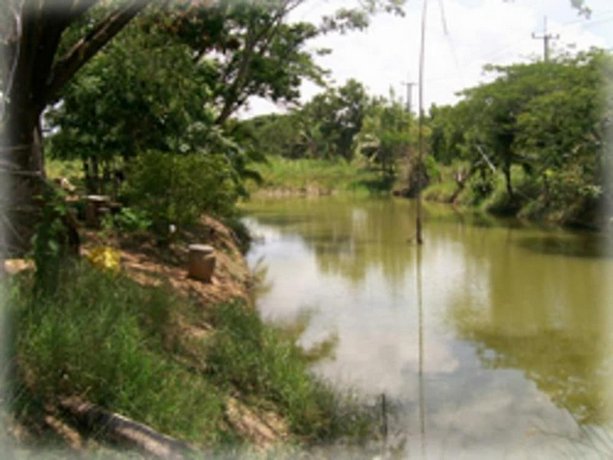 Ingdao Resort
