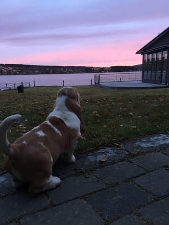 Hotell Ostersund
