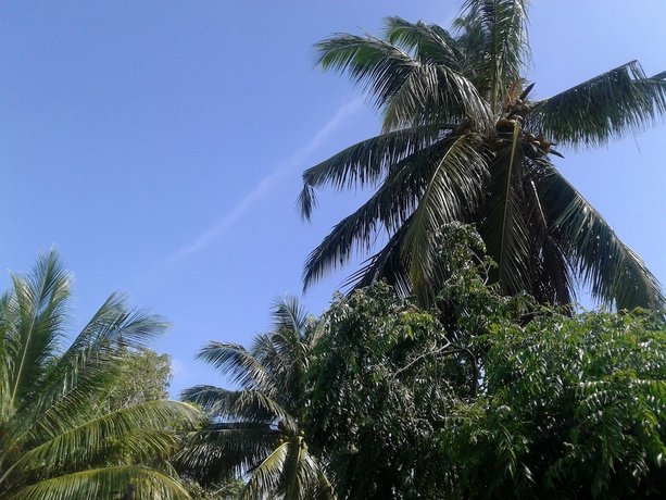 Comfort Guesthouse Hikkaduwa