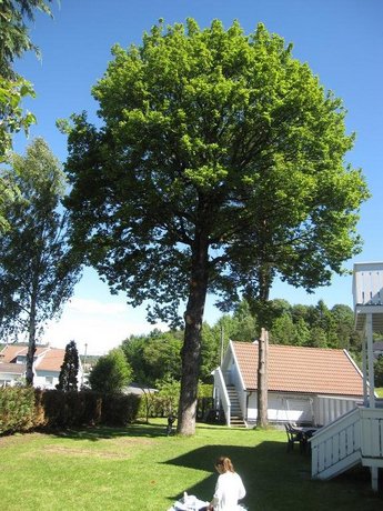 Grimstad Hostel & Vandrehjem