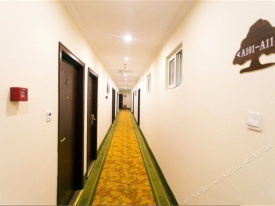 GreenTree Jiangsu Suzhou Shilu Walk Street West Ganjiang Road Shell Hotel