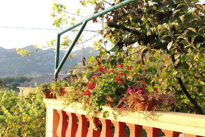 Country House Djurisic