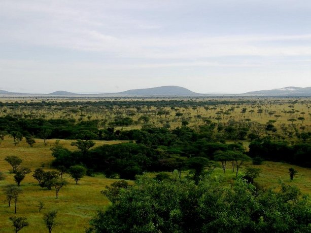 Mbalageti Serengeti