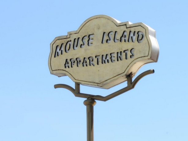 Mouse Island