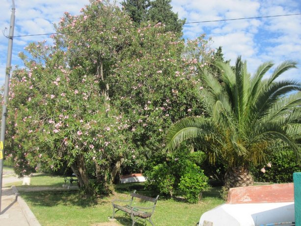 Apartments Delfin Tivat