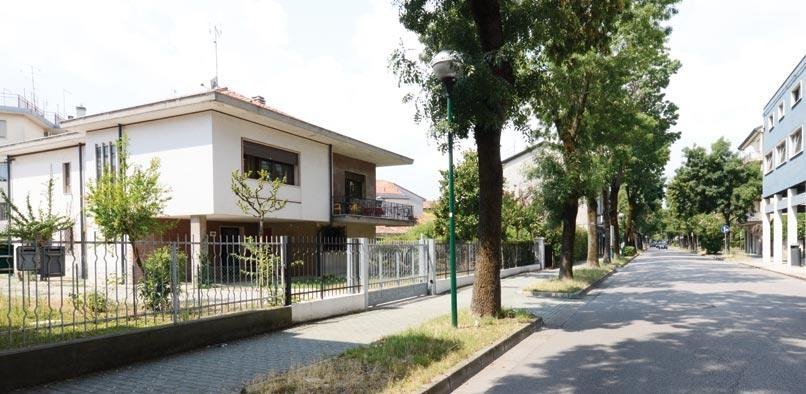 BB Venice Cinzias'