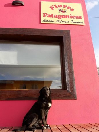 Flores Patagonicas Cabanas