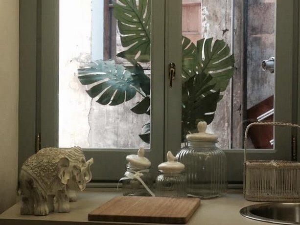 Bonsai Navona Deluxe