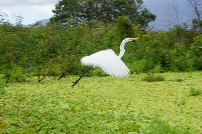 Rancho Merida