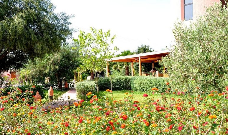 Riad Hamdani