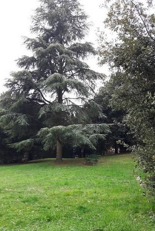 Antica Torre dei Fuochi Parlanti 