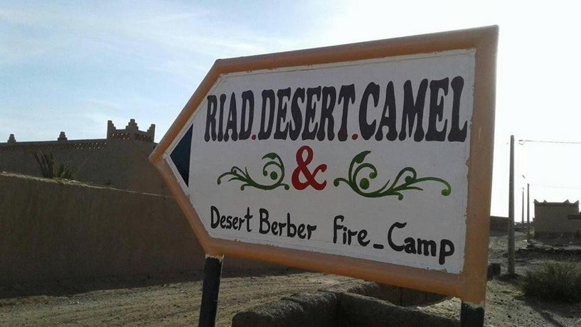 Riad Desert Camel