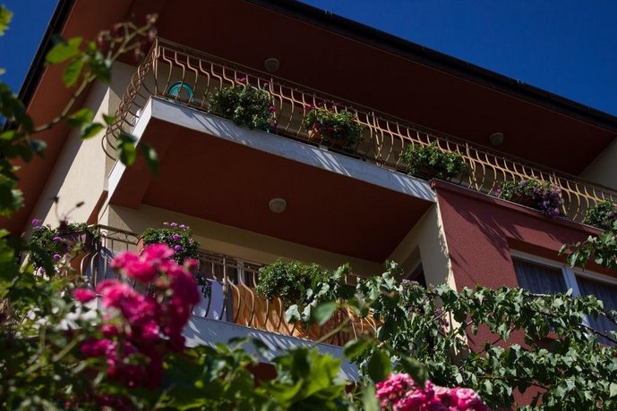 Violeta 7 Guest House