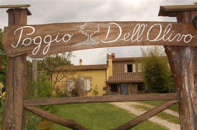 Poggio dell'Olivo