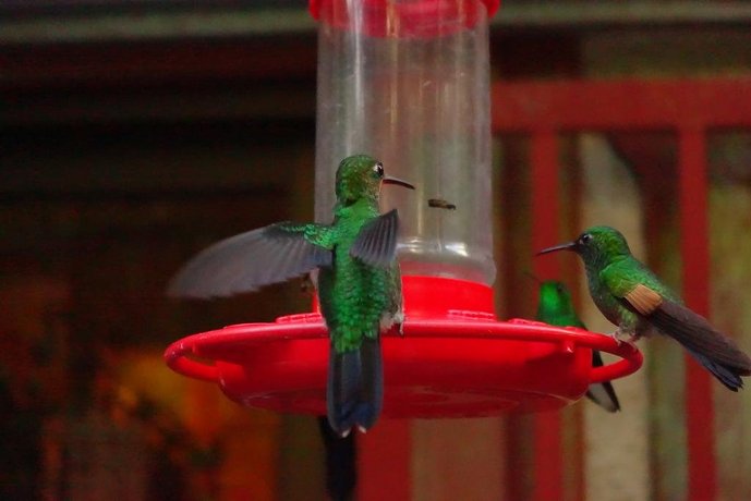 Casa Alquimia Artes Bed & Breakfast