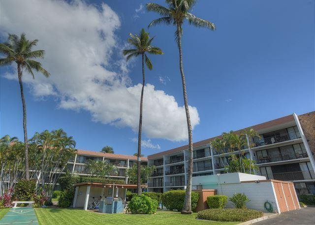 Maui Parkshore 110