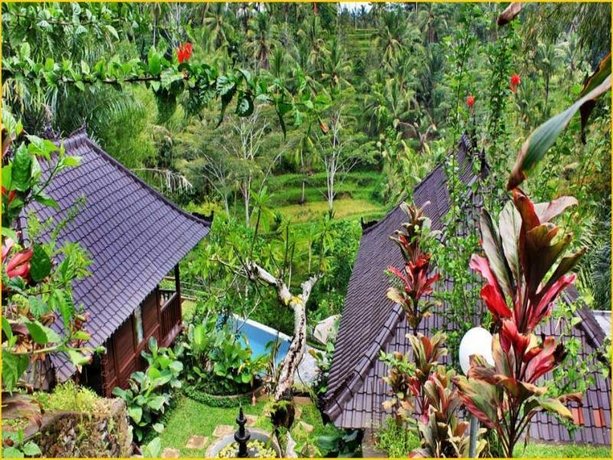 Villa Wedang