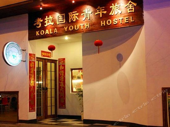 Koala International Youth Hostel