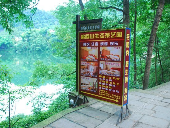 Ecological Tea Garden