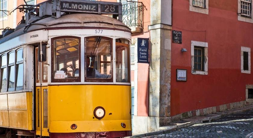 Loving Lisbon Flores