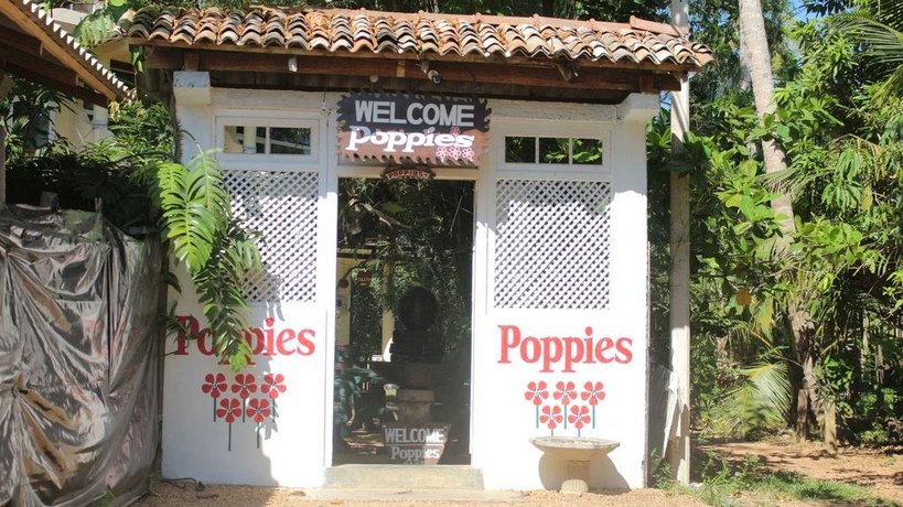 Poppies Mirissa