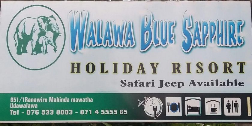 Walawa Blue Sapphire 