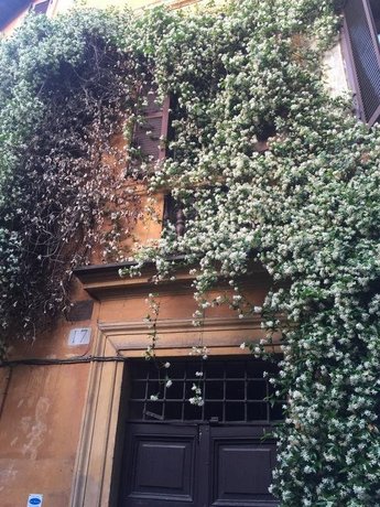 Guest House Navona 2