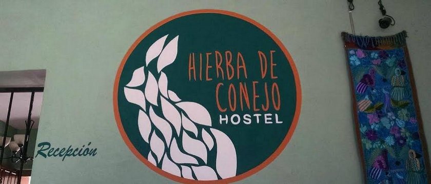 Hierba De Conejo Hostel