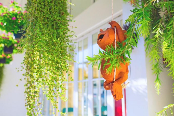 Mammoth Boutique Hotel