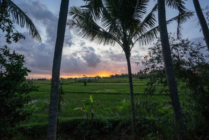 Green Field Corner Gefecon Ubud