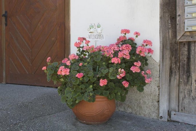 Hoellerhof