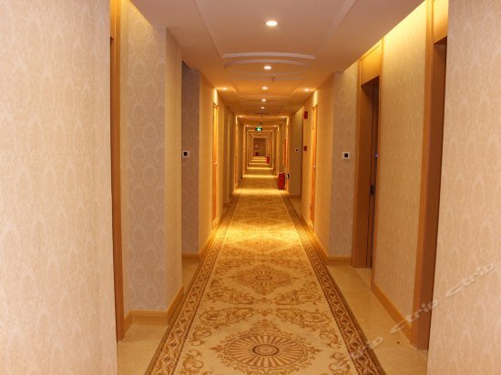 Vienna Hotel Shenzhen Nanshan Yilida