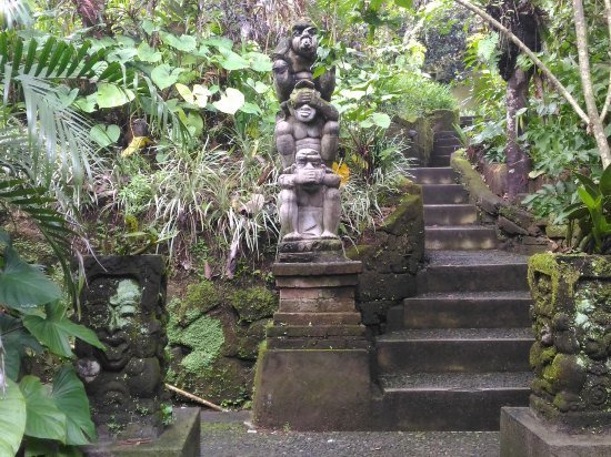Arjana Bungalows 2