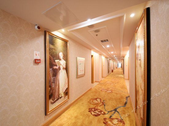 Vienna International Hotel Changsha Lugu