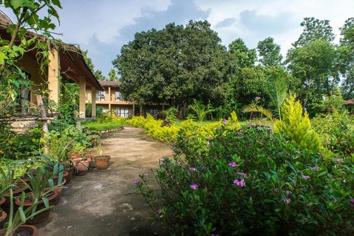 Into The Wild Eco Resort