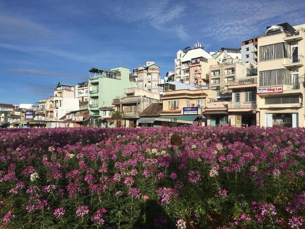 Duy Dang Hotel
