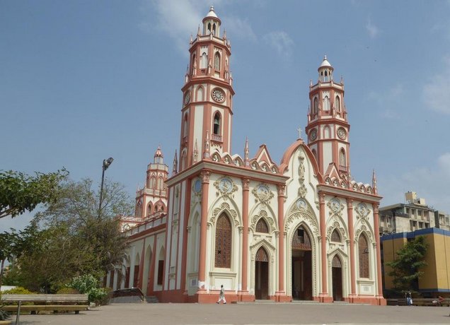 Palmagua