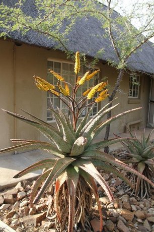 Treetops vakantiehuis bij Krugerpark