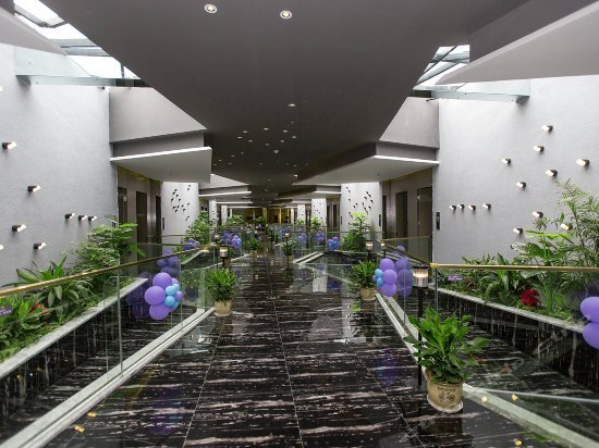 Isadora Hotel