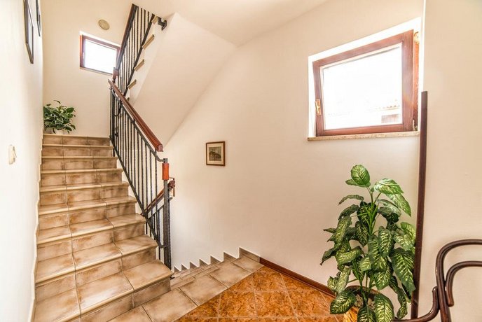 Apartments Banko 7