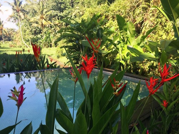 Heaven Ubud