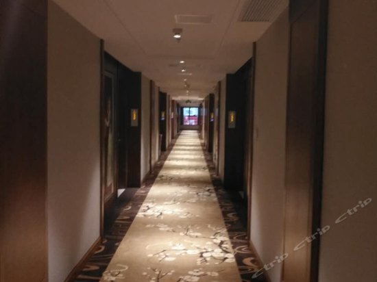 Vienna International Hotel Guangzhou Luogang Science City