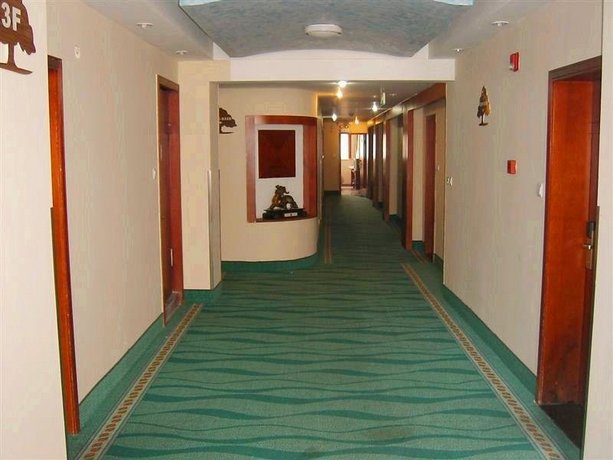 Greentree Inn Shanghai Long-distance Passenger Terminal Station Express Hotel