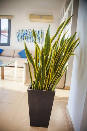 Infinite Blu Villa