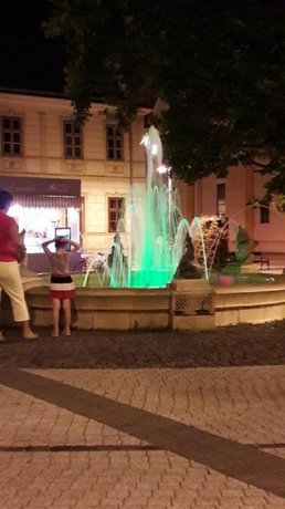 Ujsziget Vendeghaz