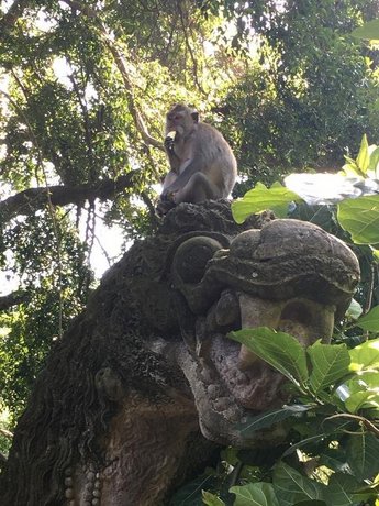 Villa Lumia Bali