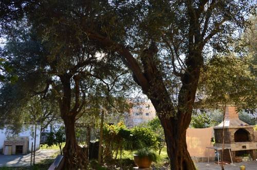Vila Maslina Guesthouse