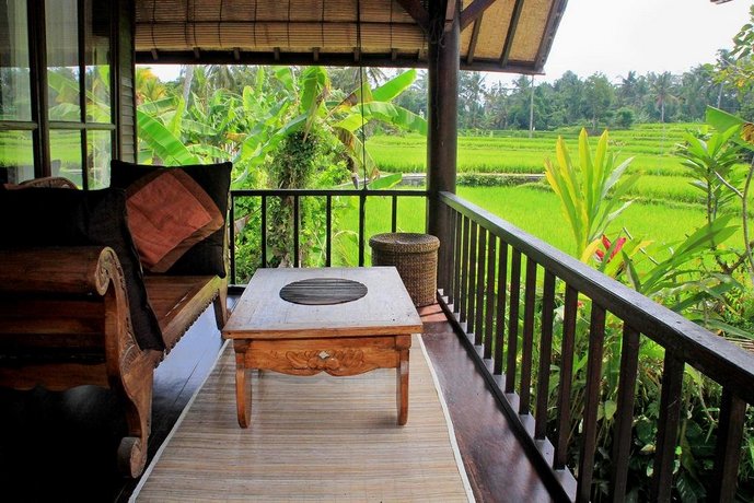 Tavisha House