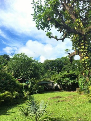 Bajo el Arbol B&B