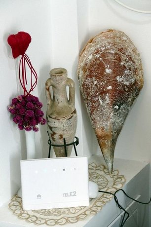 Guesthouse Martinovic